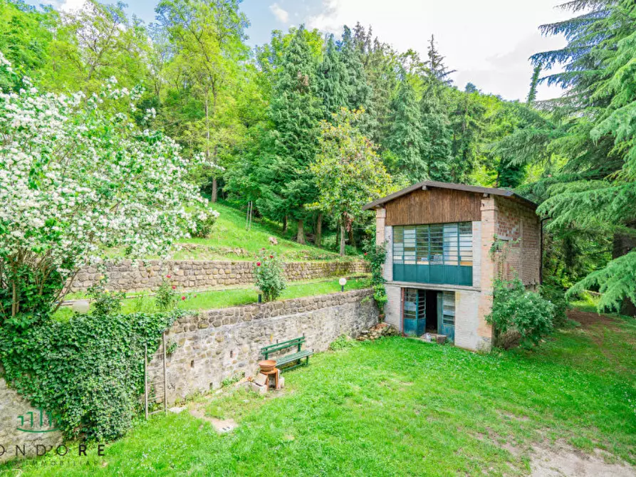 Immagine 44 di Rustico / casale in vendita  in RASIGLIO a Sasso Marconi