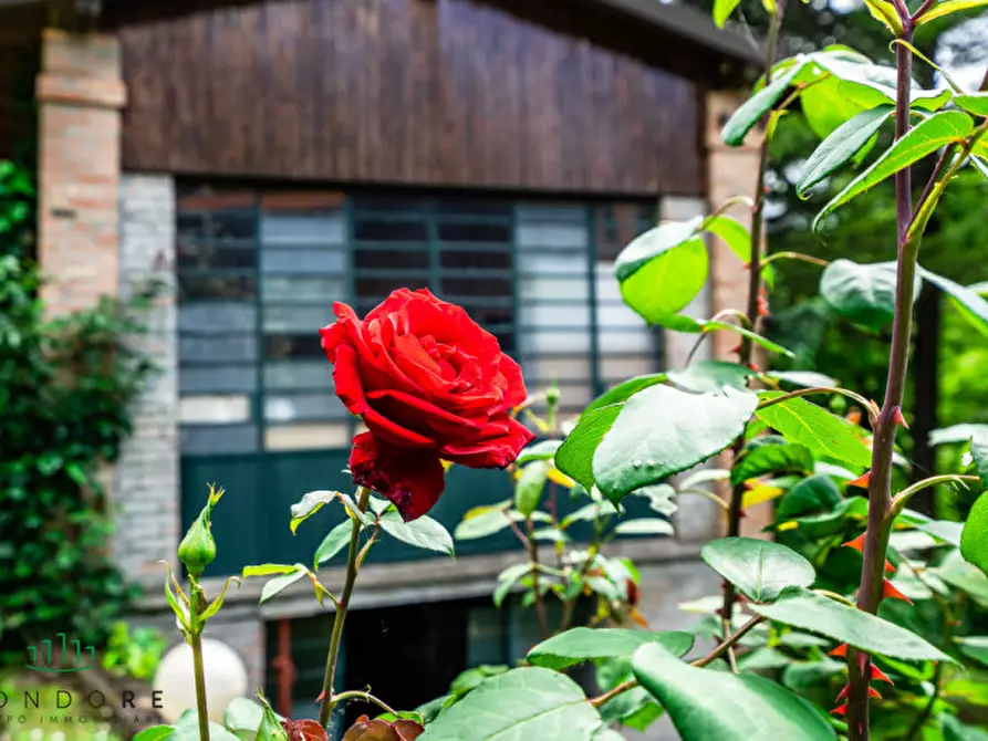 Immagine 84 di Rustico / casale in vendita  in RASIGLIO a Sasso Marconi