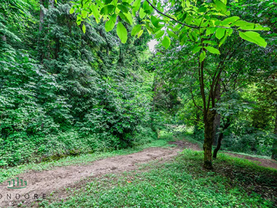 Immagine 85 di Rustico / casale in vendita  in RASIGLIO a Sasso Marconi