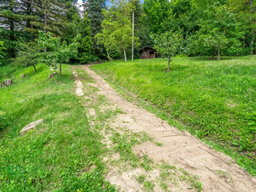 Immagine 89 di Rustico / casale in vendita  in RASIGLIO a Sasso Marconi
