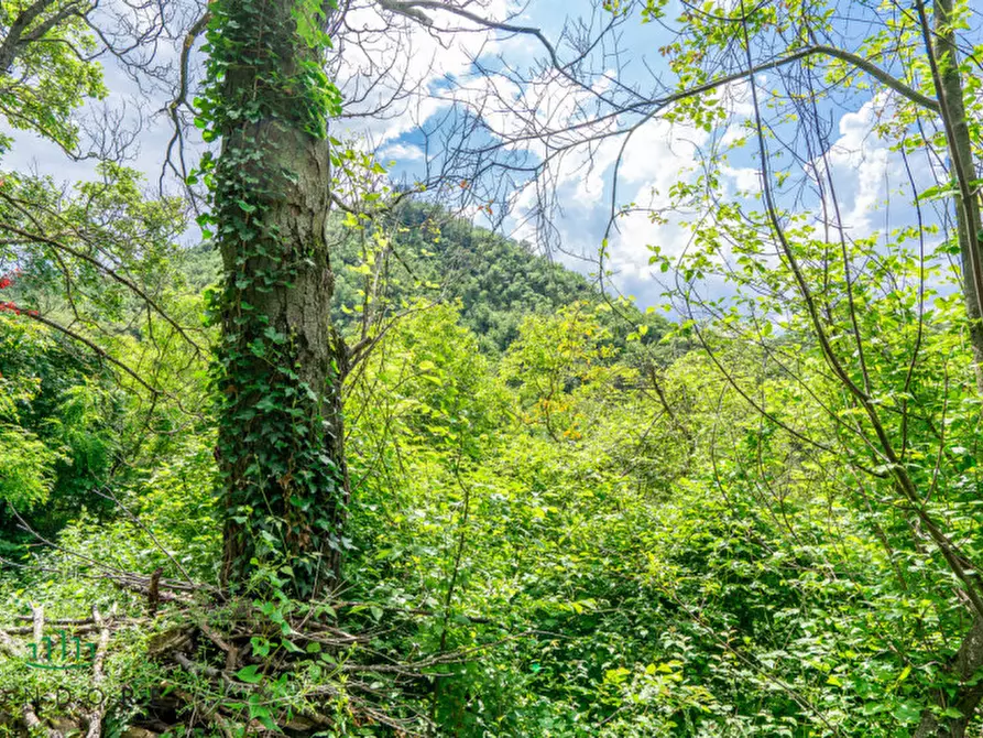 Immagine 90 di Rustico / casale in vendita  in RASIGLIO a Sasso Marconi