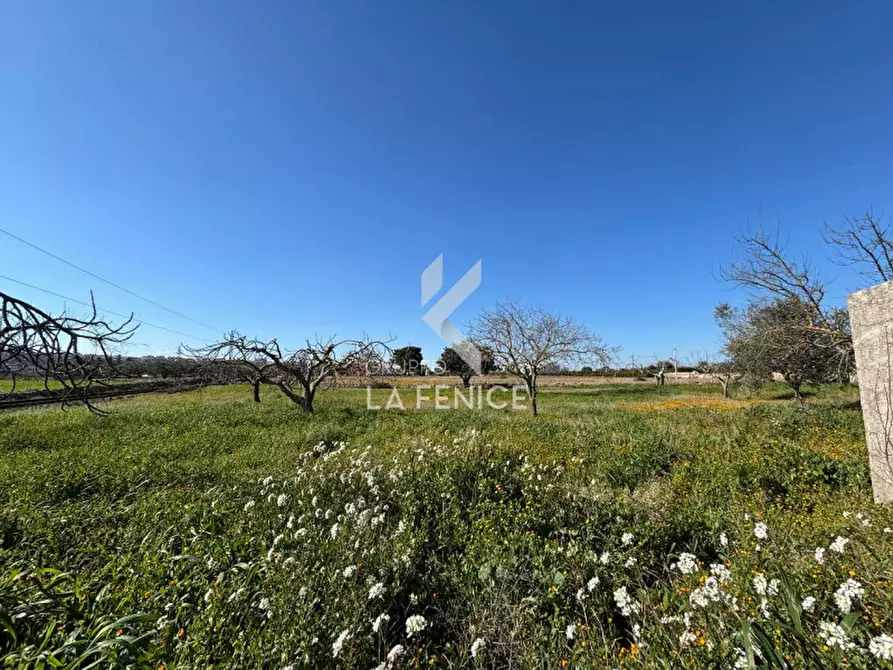 Immagine 31 di Rustico / casale in vendita  in contrada caliandro a Martina Franca