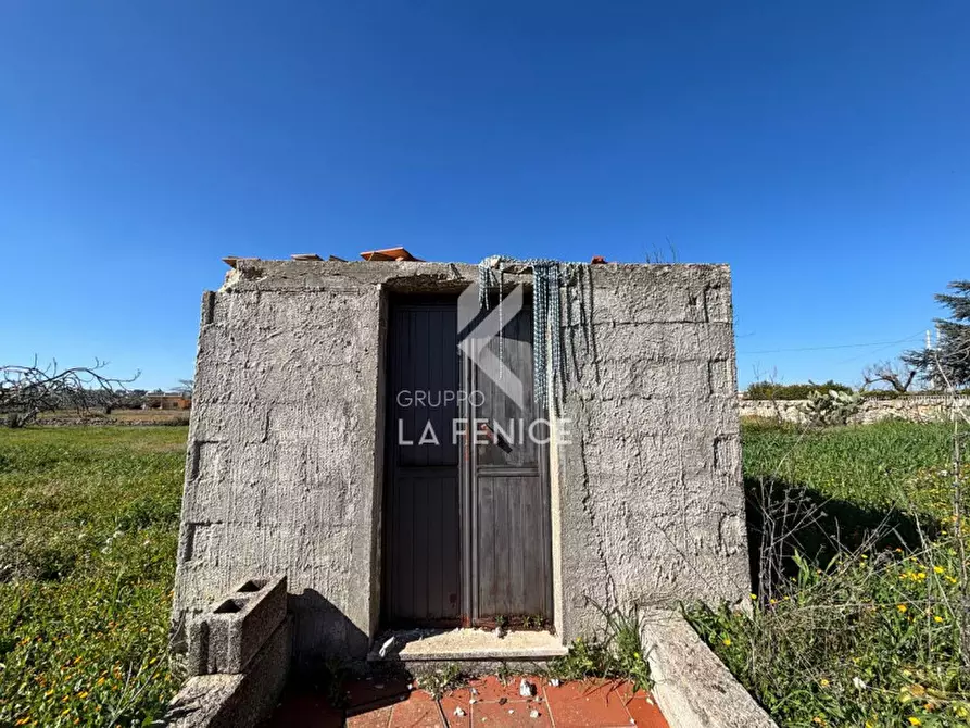 Immagine 32 di Rustico / casale in vendita  in contrada caliandro a Martina Franca