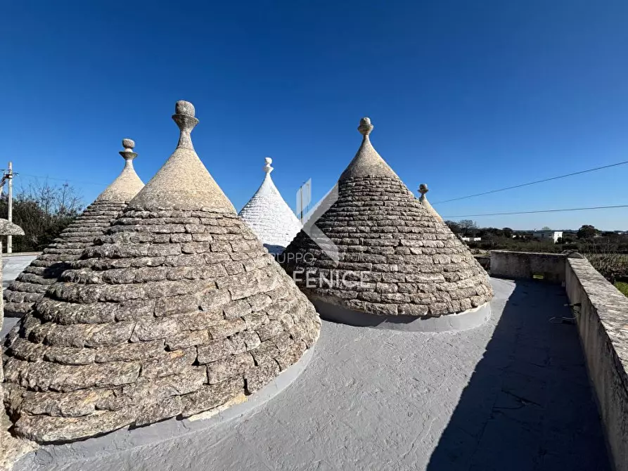 Immagine 35 di Rustico / casale in vendita  in contrada caliandro a Martina Franca