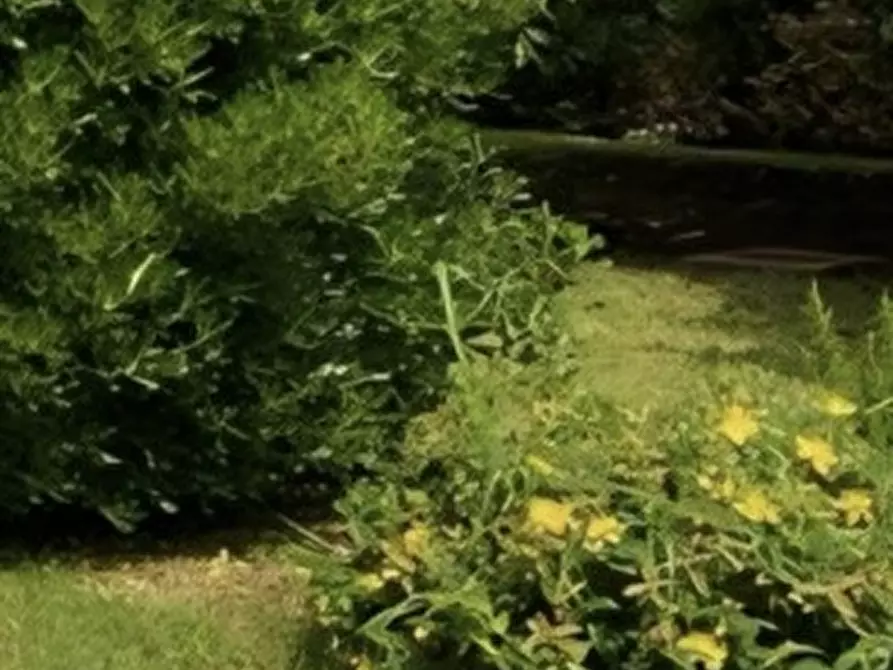 Immagine 37 di Casa indipendente in vendita  in Via Silvio Pellico a Piombino Dese