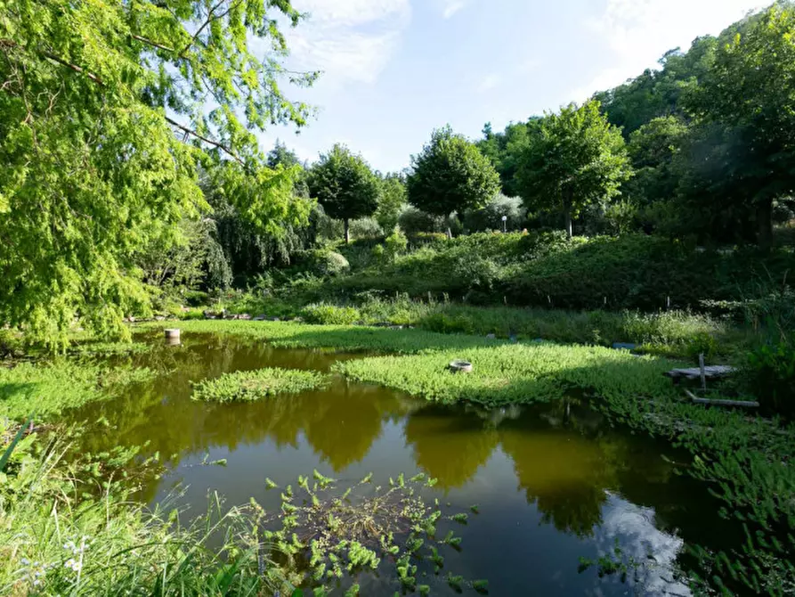 Immagine 30 di Villa in vendita  in VIA GUGLIELMO MARCONI N.54 a Teolo