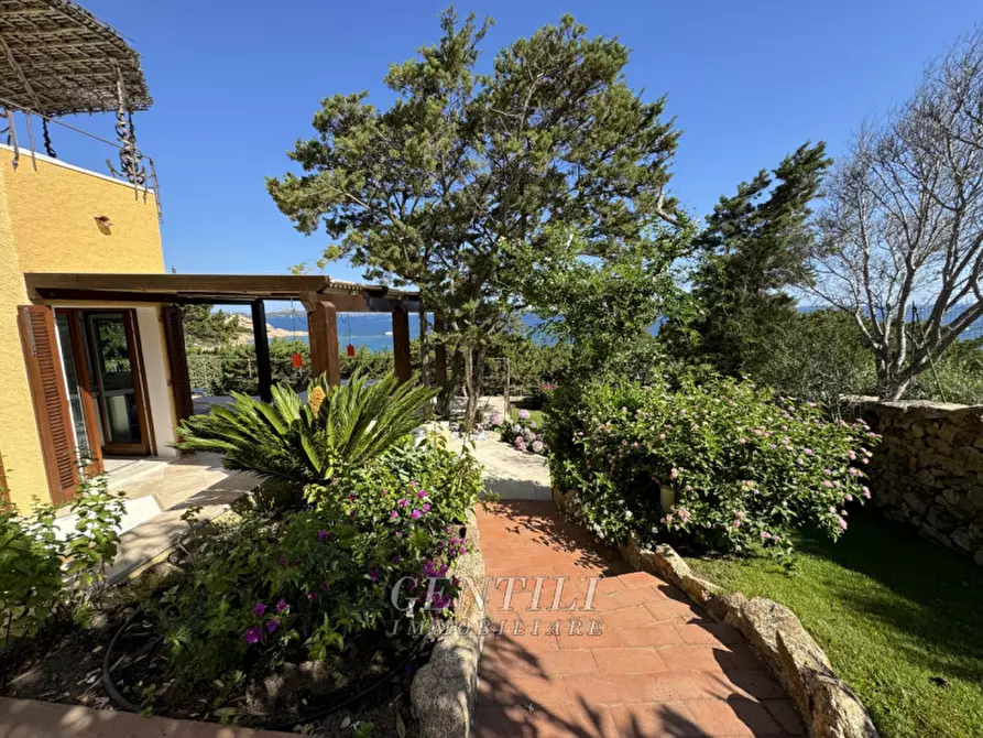 Immagine 32 di Appartamento in vendita  a Arzachena