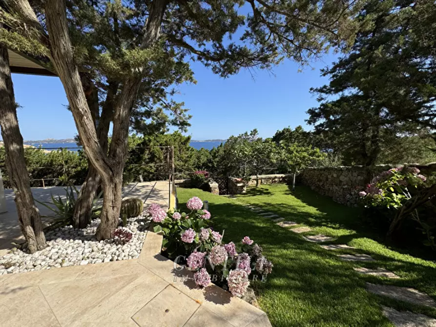 Immagine 36 di Appartamento in vendita  a Arzachena