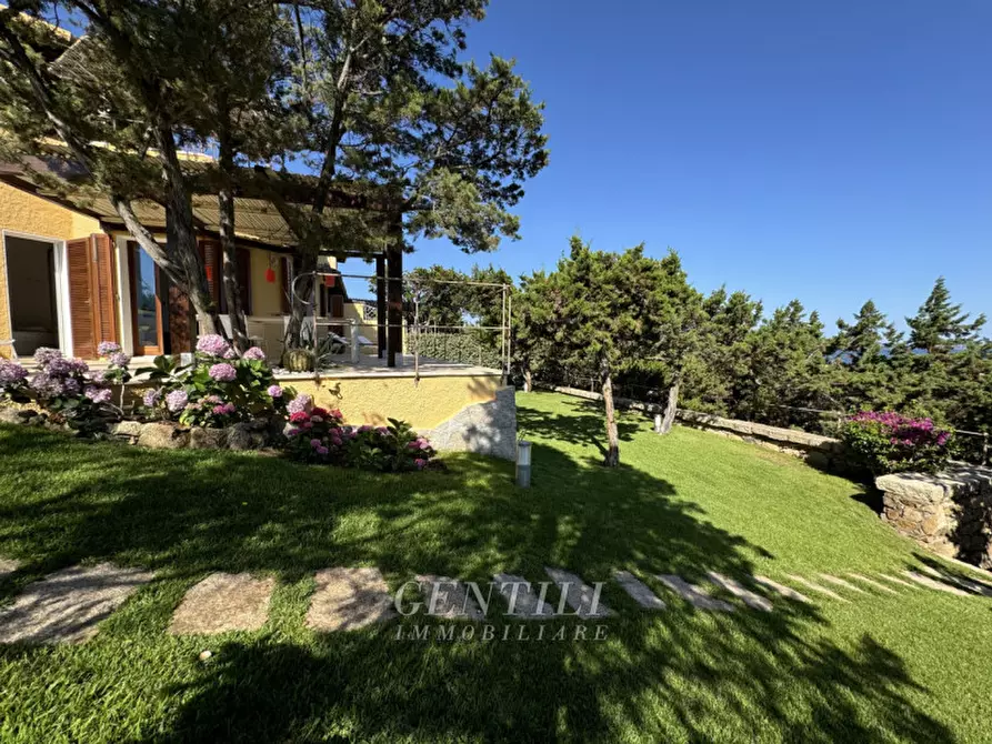 Immagine 37 di Appartamento in vendita  a Arzachena