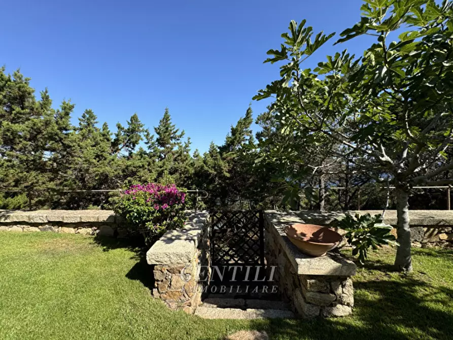 Immagine 40 di Appartamento in vendita  a Arzachena