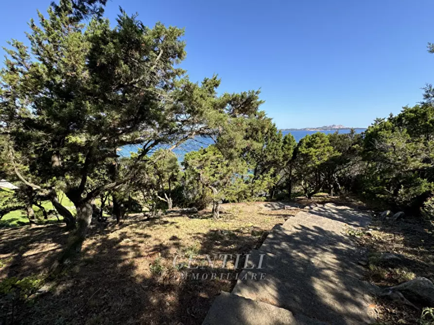 Immagine 43 di Appartamento in vendita  a Arzachena