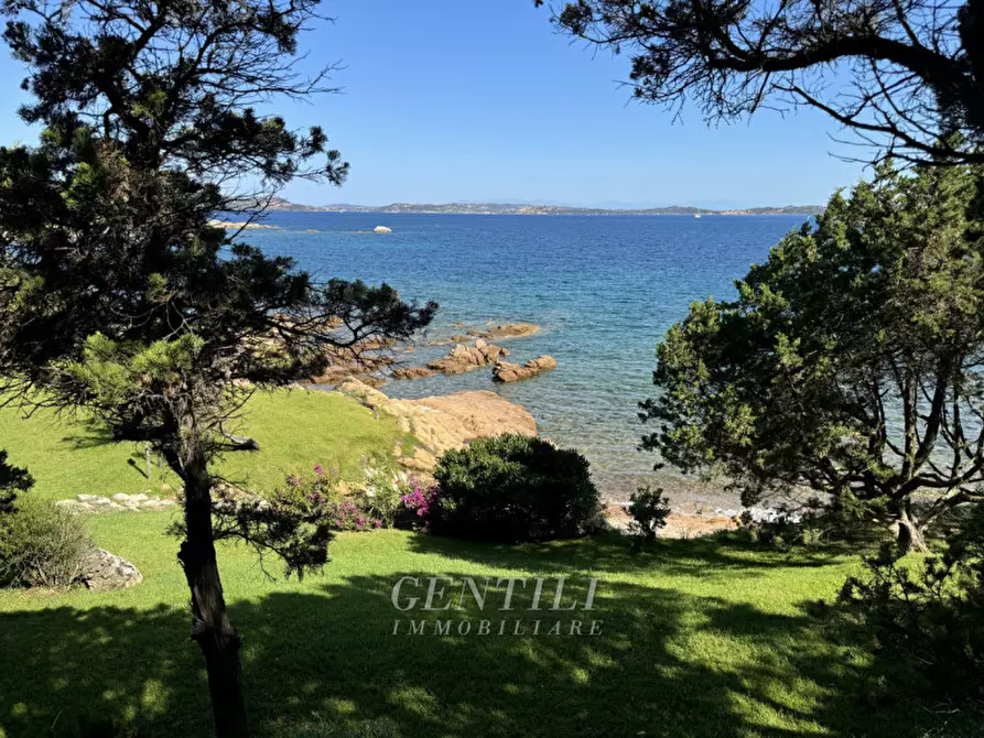 Immagine 44 di Appartamento in vendita  a Arzachena