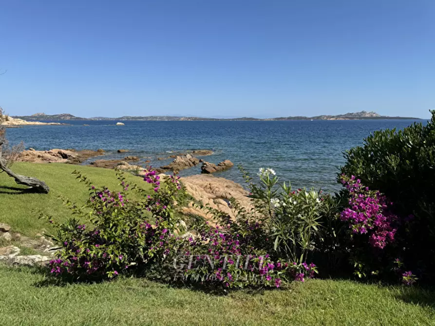 Immagine 46 di Appartamento in vendita  a Arzachena