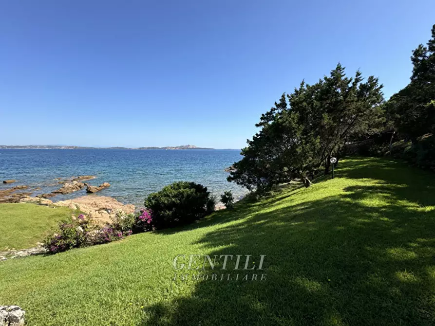 Immagine 47 di Appartamento in vendita  a Arzachena