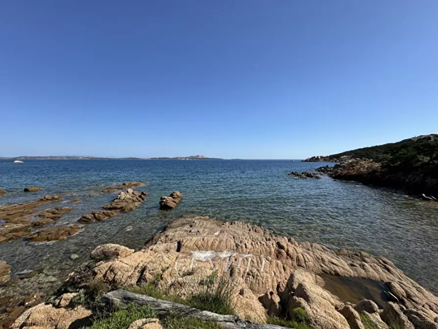 Immagine 48 di Appartamento in vendita  a Arzachena