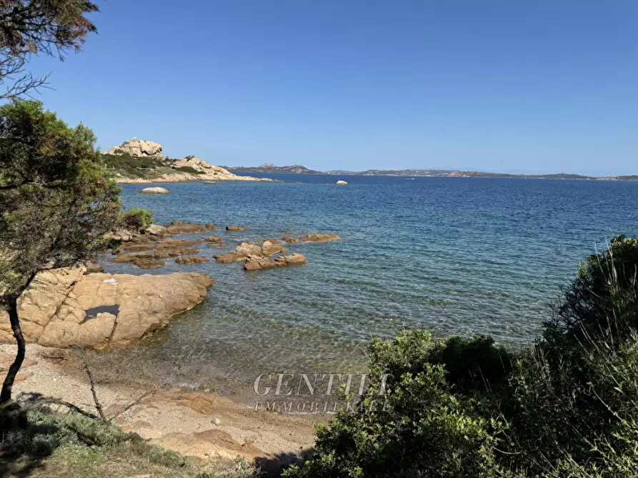 Immagine 49 di Appartamento in vendita  a Arzachena