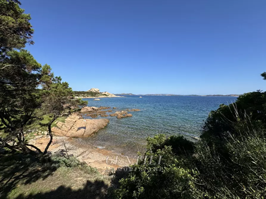 Immagine 50 di Appartamento in vendita  a Arzachena