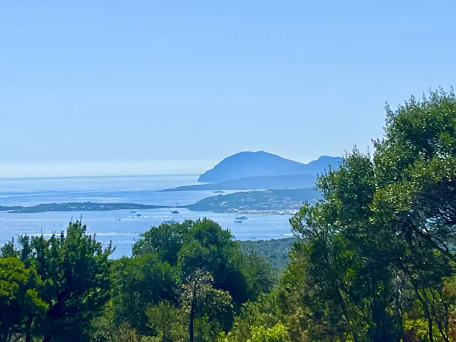 Immagine 2 di Rustico / casale in vendita  a Olbia
