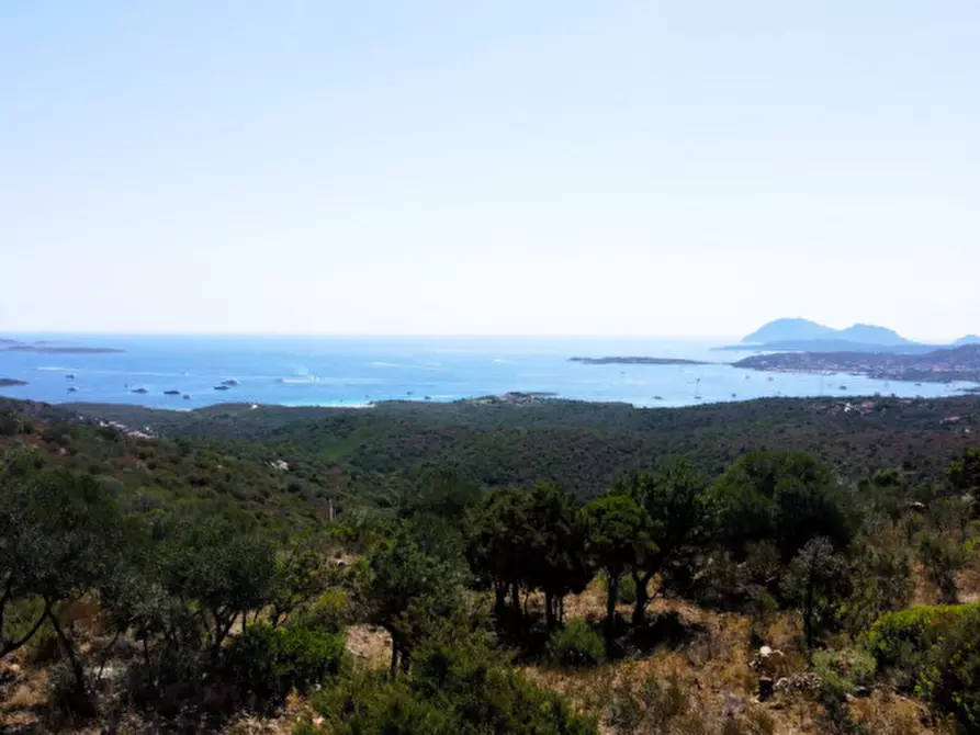 Immagine 3 di Rustico / casale in vendita  a Olbia