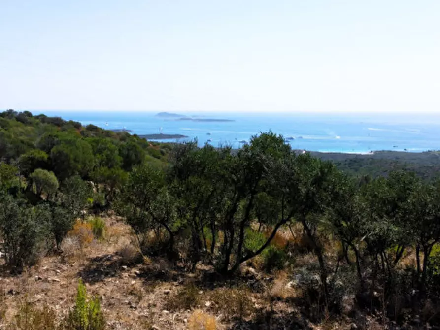 Immagine 4 di Rustico / casale in vendita  a Olbia