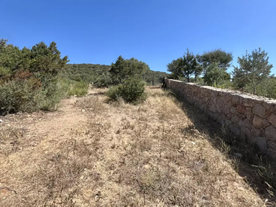 Immagine 8 di Rustico / casale in vendita  a Olbia