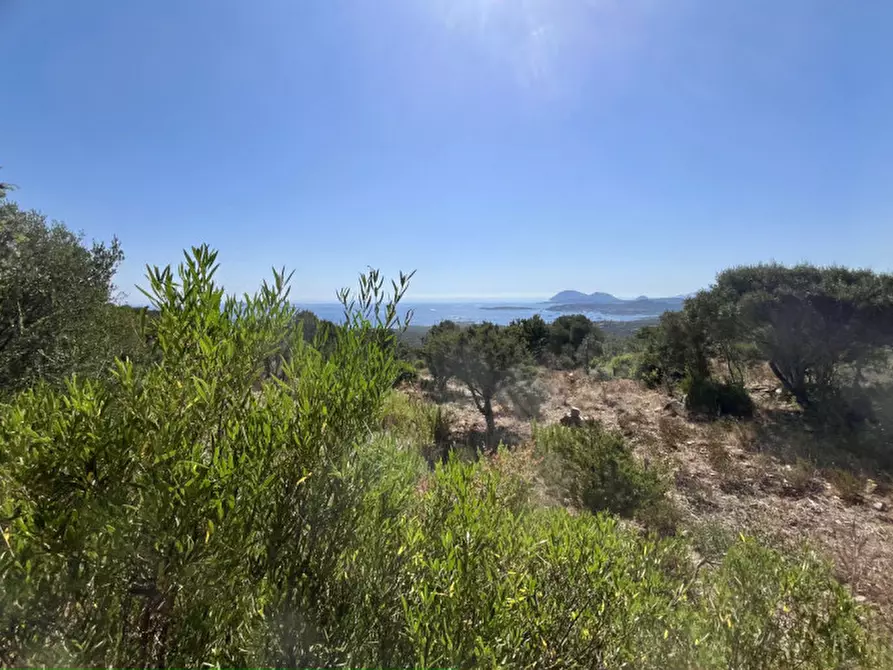 Immagine 9 di Rustico / casale in vendita  a Olbia