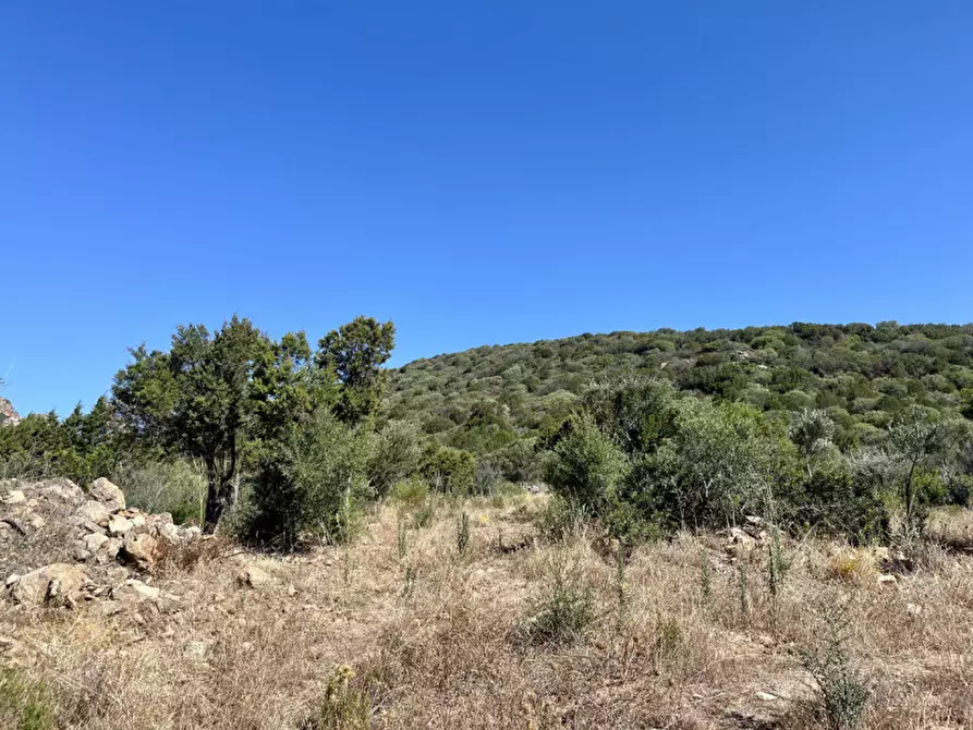 Immagine 10 di Rustico / casale in vendita  a Olbia