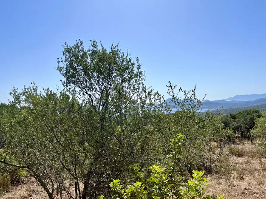 Immagine 11 di Rustico / casale in vendita  a Olbia