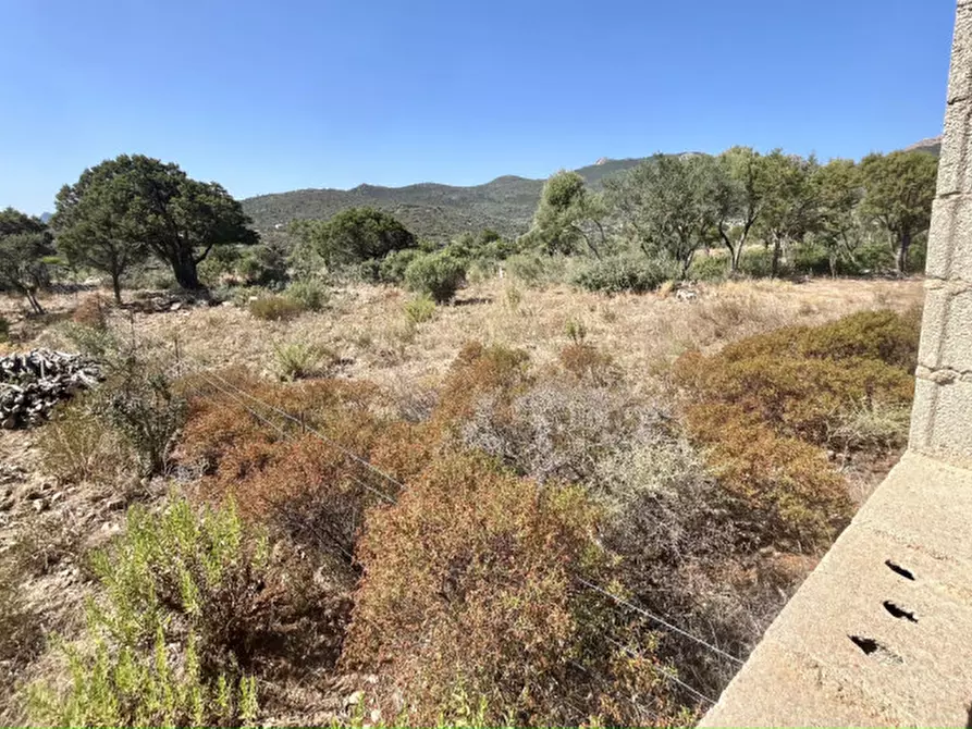 Immagine 15 di Rustico / casale in vendita  a Olbia