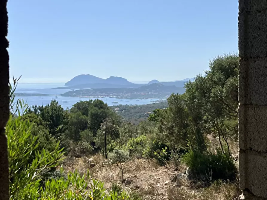 Immagine 16 di Rustico / casale in vendita  a Olbia