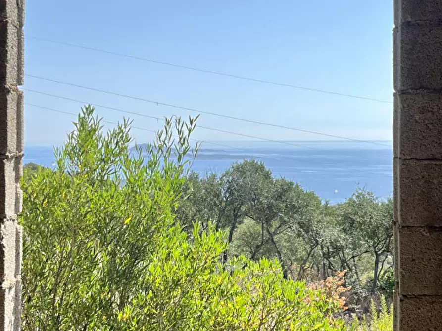 Immagine 17 di Rustico / casale in vendita  a Olbia