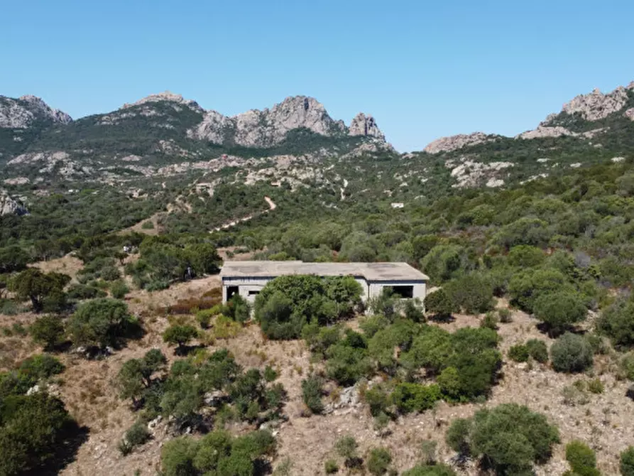 Immagine 23 di Rustico / casale in vendita  a Olbia