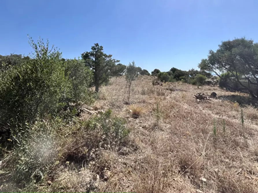 Immagine 25 di Rustico / casale in vendita  a Olbia