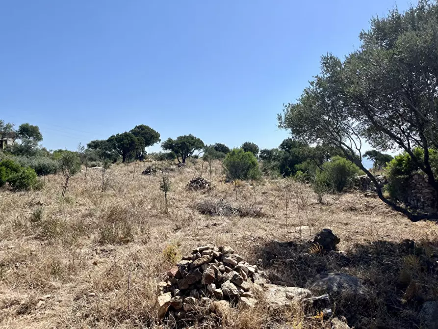 Immagine 28 di Rustico / casale in vendita  a Olbia