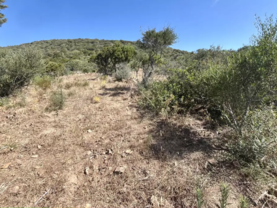 Immagine 29 di Rustico / casale in vendita  a Olbia