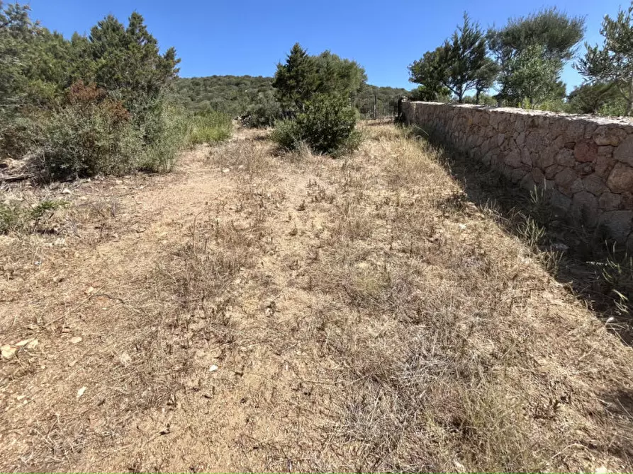 Immagine 30 di Rustico / casale in vendita  a Olbia