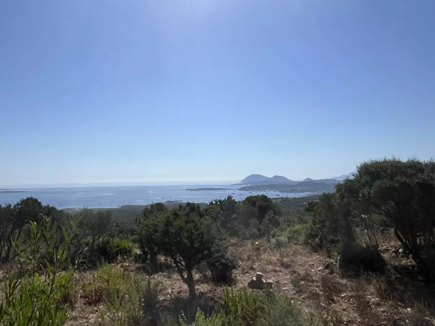 Immagine 31 di Rustico / casale in vendita  a Olbia