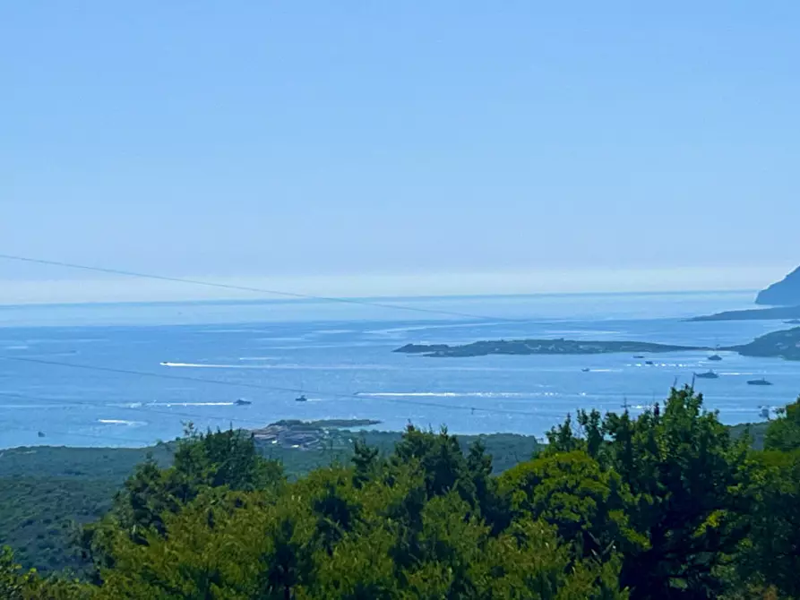Immagine 33 di Rustico / casale in vendita  a Olbia