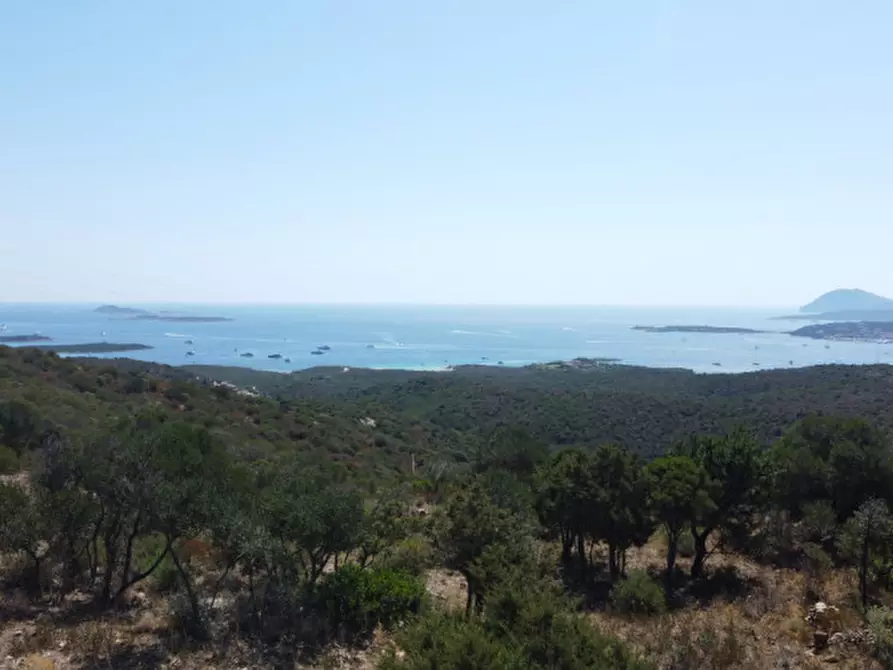 Immagine 35 di Rustico / casale in vendita  a Olbia