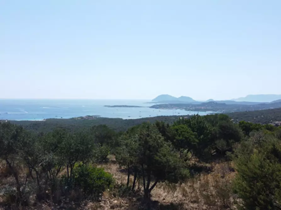 Immagine 36 di Rustico / casale in vendita  a Olbia