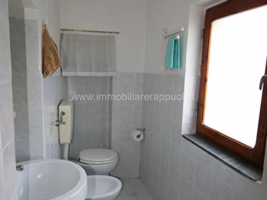 Immagine 5 di Appartamento in vendita  a Sinalunga