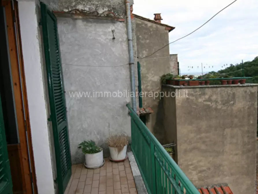 Immagine 8 di Appartamento in vendita  a Sinalunga