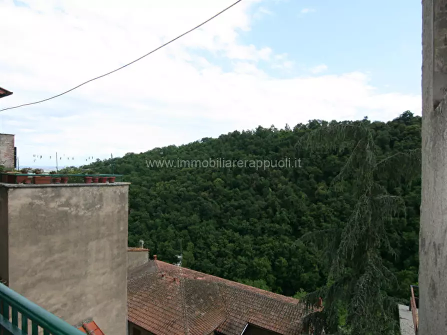 Immagine 9 di Appartamento in vendita  a Sinalunga