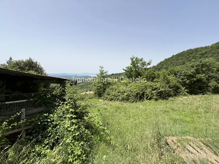 Immagine 4 di Casa indipendente in vendita  in Località Rogaia a Passignano Sul Trasimeno