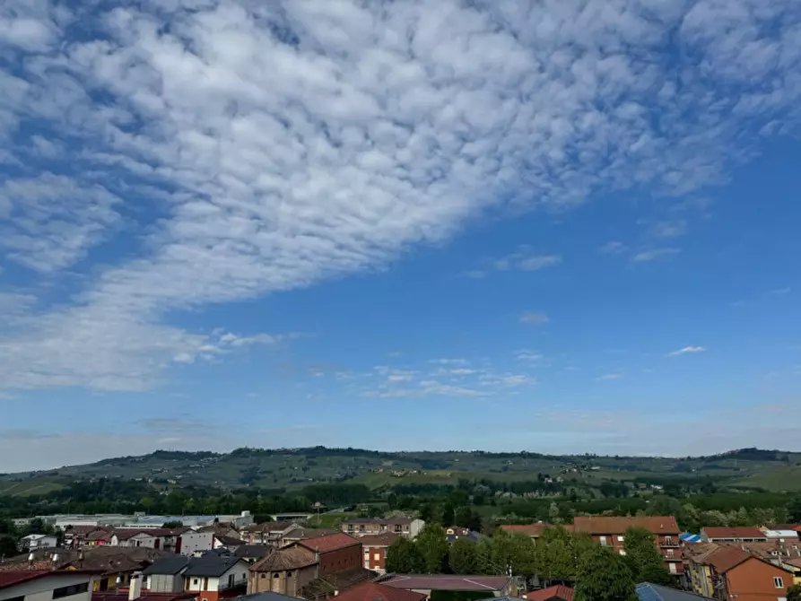 Immagine 13 di Villa in vendita  in via cavourrina a Grinzane Cavour