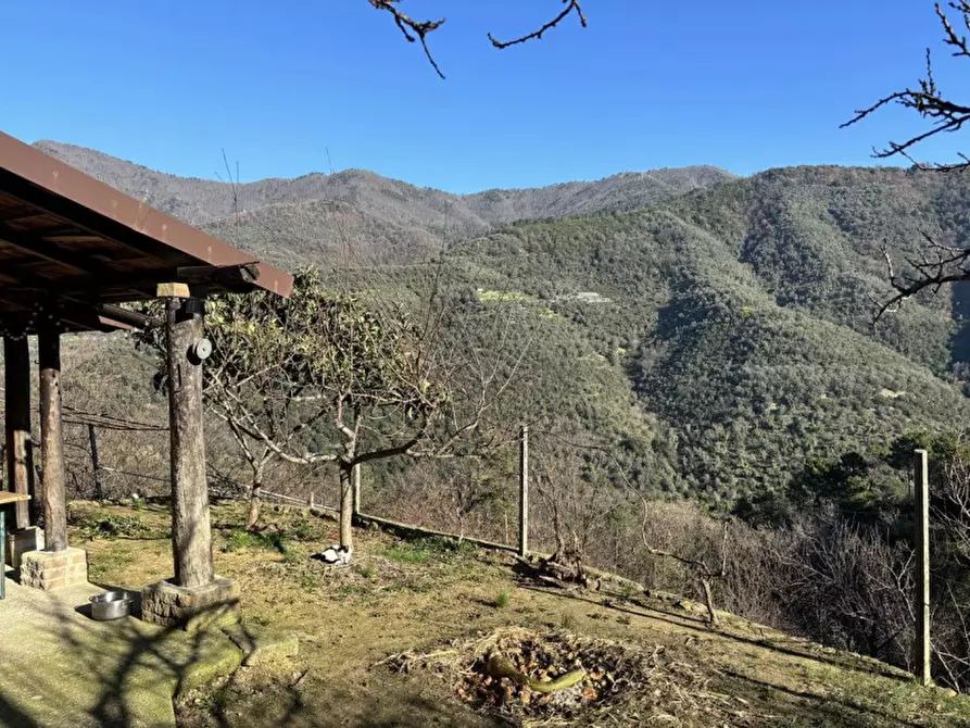 Immagine 1 di Casa indipendente in vendita  in Strada provinciali sud a Ceriana