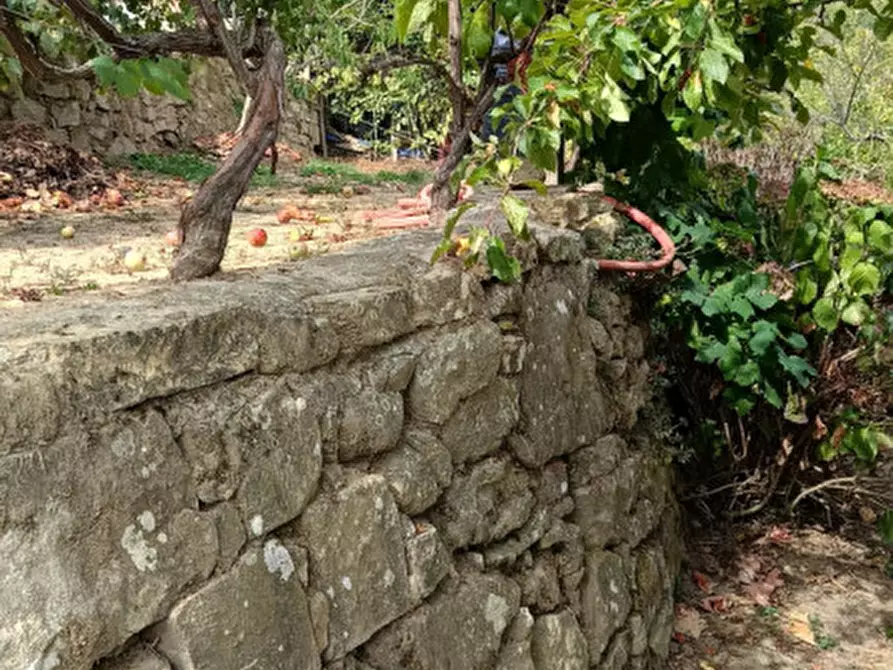 Immagine 5 di Casa indipendente in vendita  in Strada provinciali sud a Ceriana