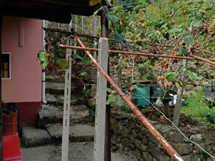 Immagine 8 di Casa indipendente in vendita  in Strada provinciali sud a Ceriana