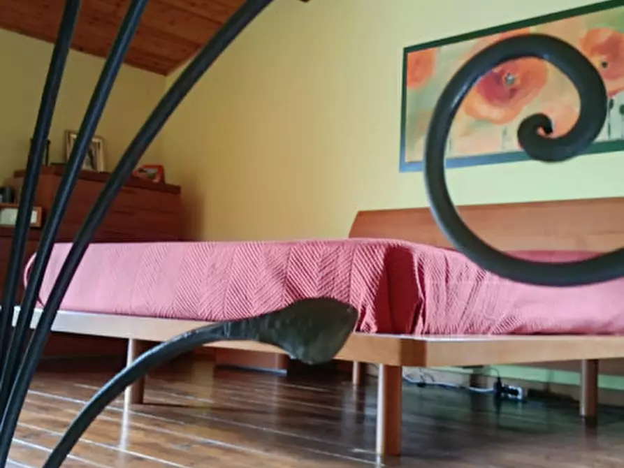 Immagine 13 di Casa indipendente in vendita  in Strada provinciali sud a Ceriana