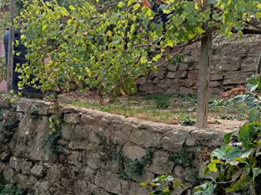 Immagine 16 di Casa indipendente in vendita  in Strada provinciali sud a Ceriana